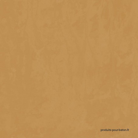 Béton ciré mural rendu havane