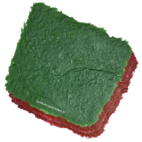 Béton-empreinte-kit-complet-modéle-roche-ton-pierre 2